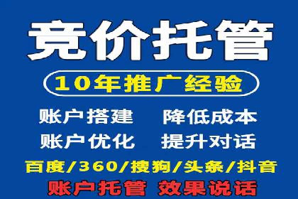实战经验：竞价推广公司成功案例解析